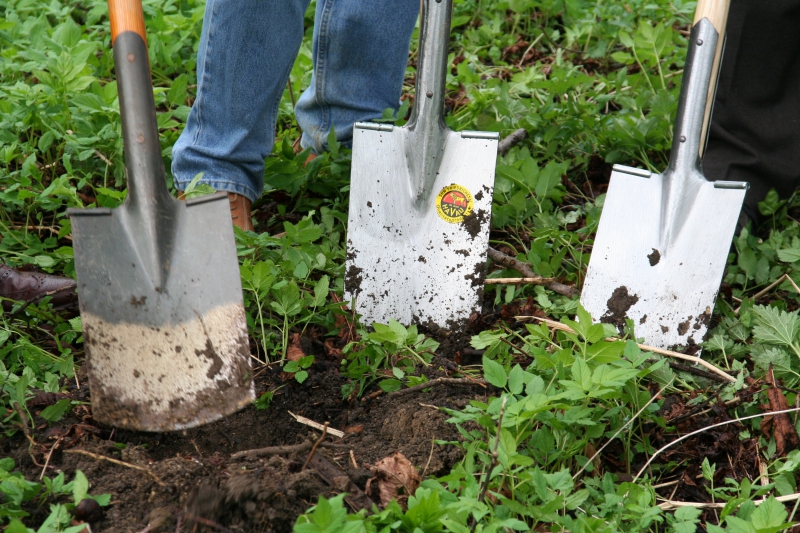 pepiniere-ST JULIEN-min_work-lawn-flower-tool-green-backyard-1103633-pxhere.com